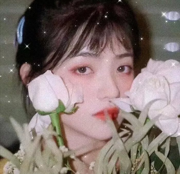安妮·雪莉